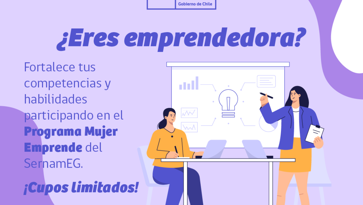 /se-encuentran-abiertas-las-inscripciones-para-ser-parte-del-programa-mujer-emprende-de-sernameg-atacama