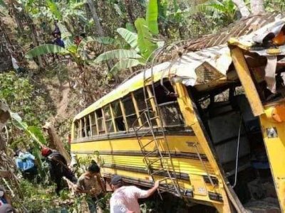 /bus-cayo-en-enjambre-de-abejas-asesinas-en-nicaragua-seis-personas-murieron-por-picaduras