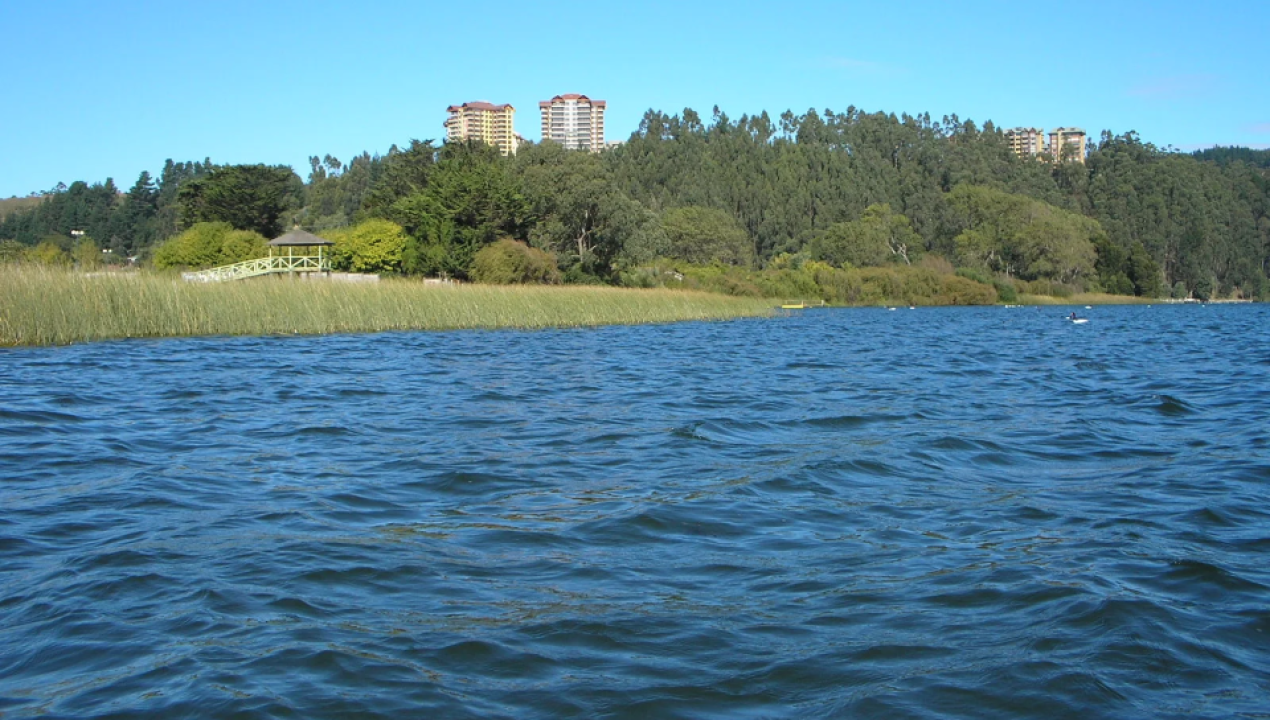 /regionales/region-del-biobio/san-pedro-de-la-paz-exigen-plan-de-cuidado-por-contaminacion-de-laguna-y